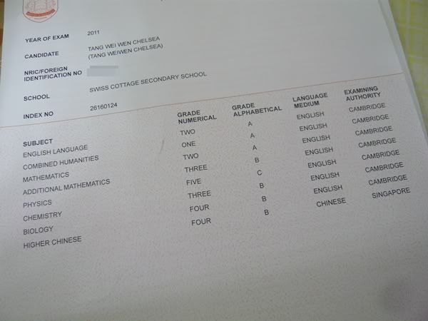 Hello. Meet Chelsea.: My GCE Olevel results!!
