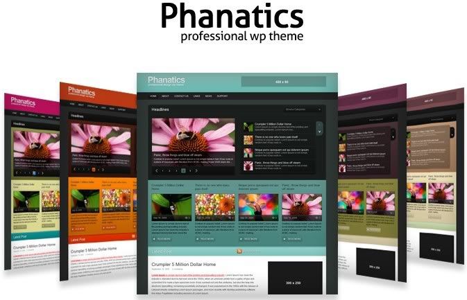phanatics wordpress theme