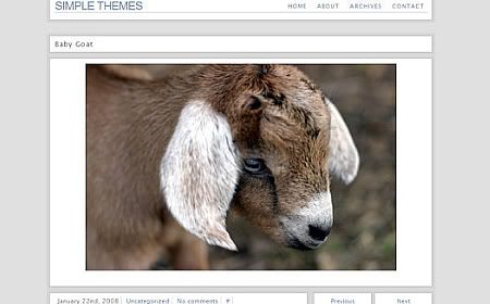 WordPress Photo Galleries Themes