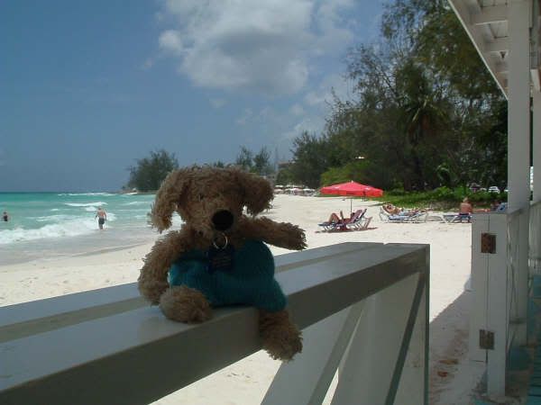 Sally_Barbados_2_042.jpg