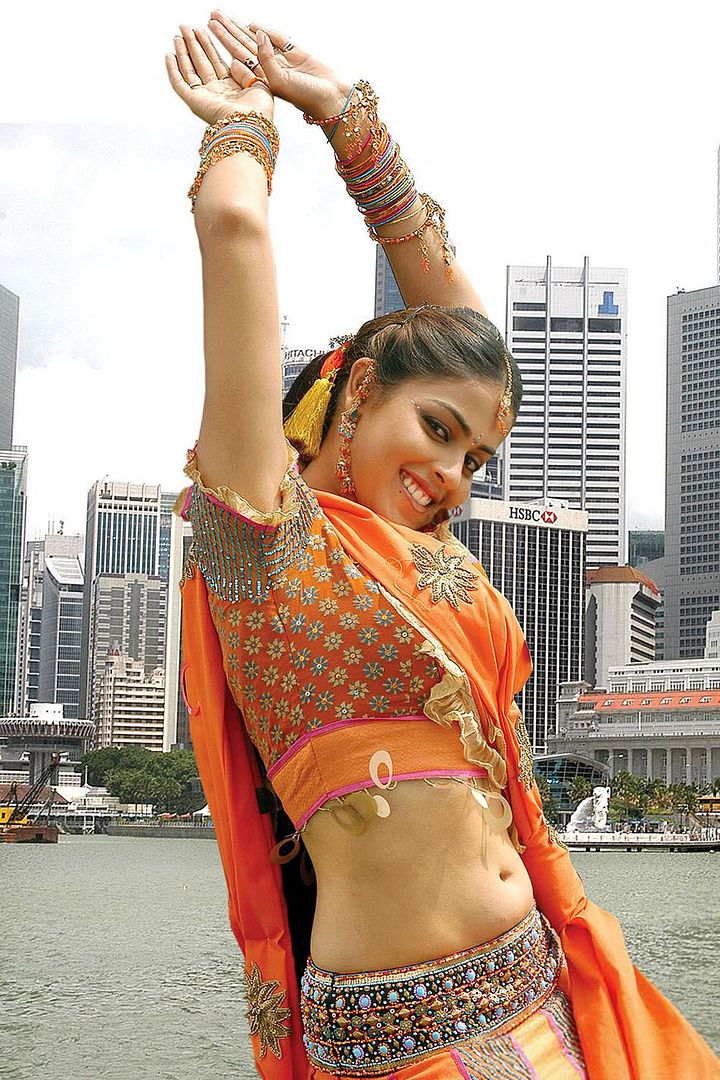 http://i293.photobucket.com/albums/mm43/dkrao/ghi/genelia_dkr_61.jpg
