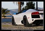 Lambo e Ferrari
