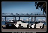 Lambo e Ferrari