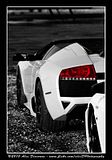 Lambo e Ferrari