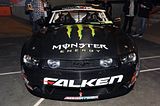 Mustang Falken