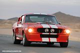 Mustang GT500 CR