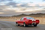Mustang GT500 CR