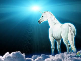 unicorn Pictures, Images and Photos