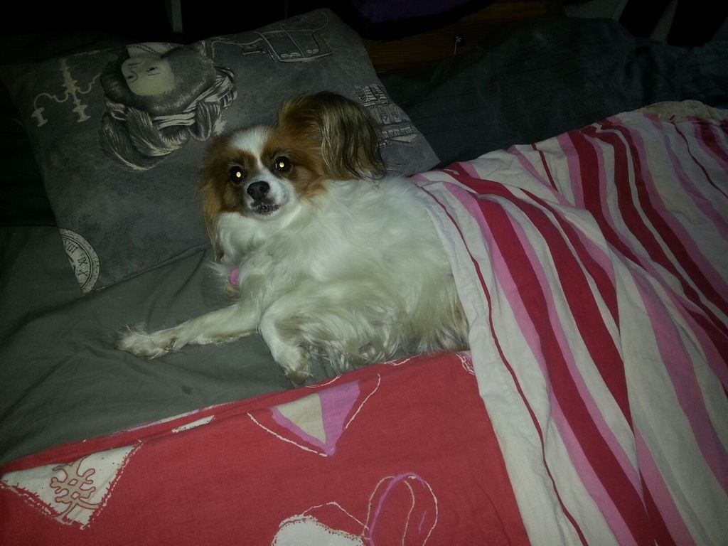 20151117_113547_resized_zpsakgagsv0.jpg