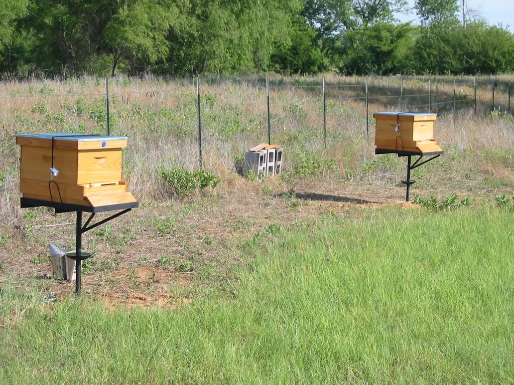 New Steel Bee Stands!