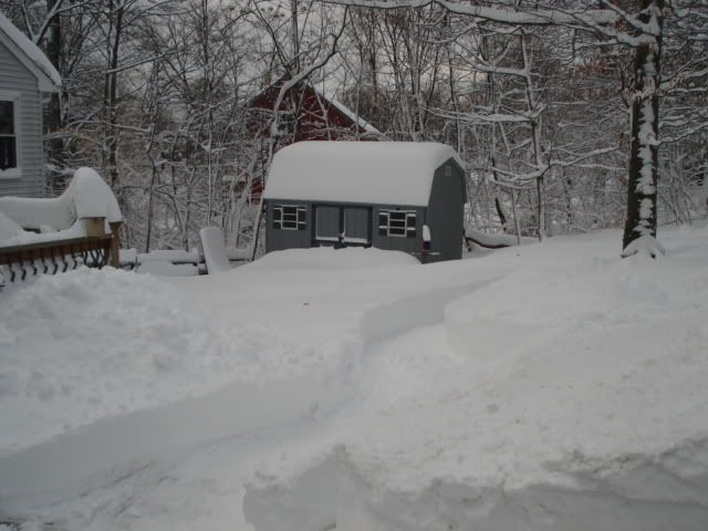 snow2011001.jpg