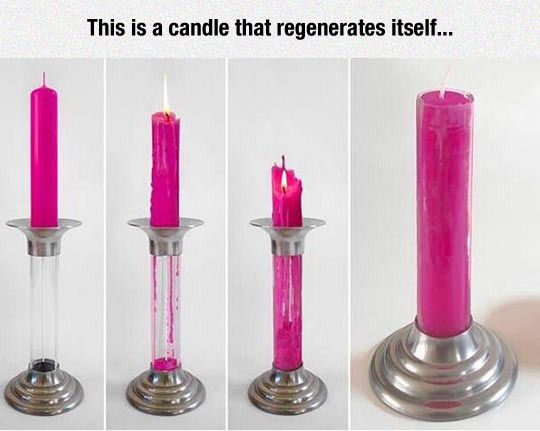 [Image: 33fdfunny-candle-regenerates-itself_zpstpneoice.jpg]