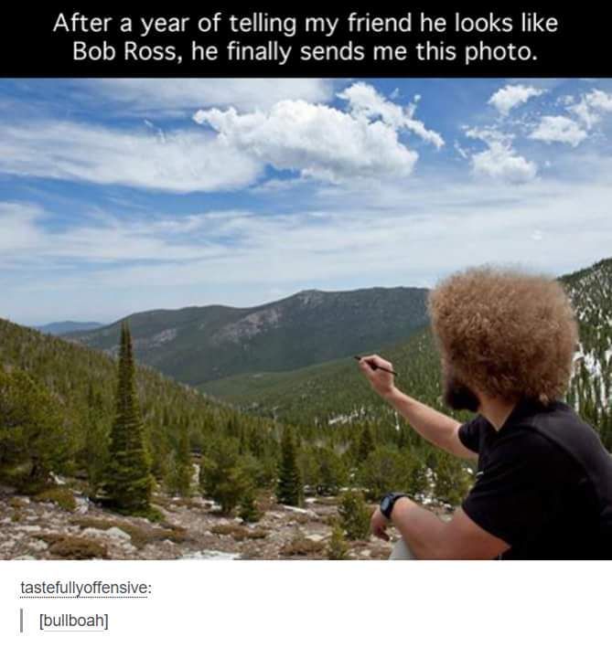 [Image: Bob%20Ross%20look-a-like.jpg]