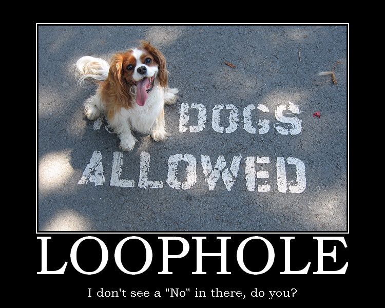 [Image: Motivational_Poster__Loophole_by_Viper_X...cd8lby.jpg]