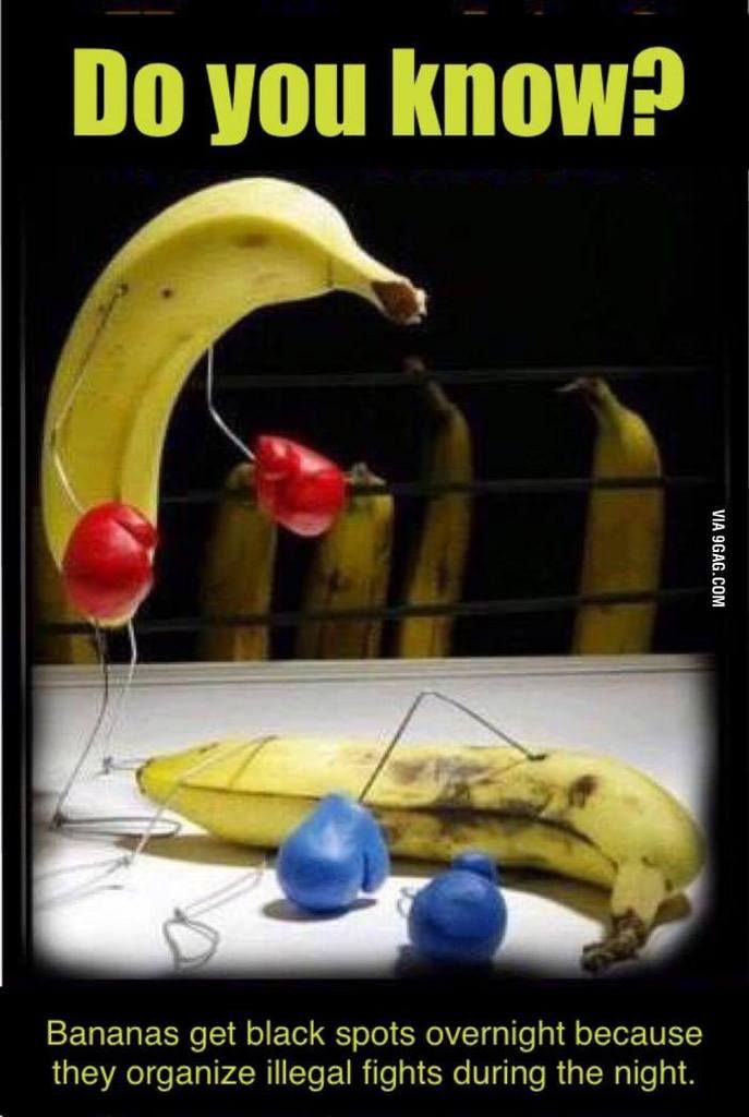 [Image: bananas.jpg]