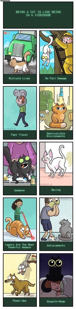 [Image: being_a_cat_is_like_being_in_a_videogame.jpg]