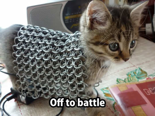 [Image: kitten%20chainmail.png]