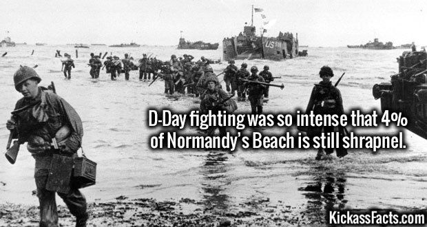 [Image: Normandy%20beach.jpg]