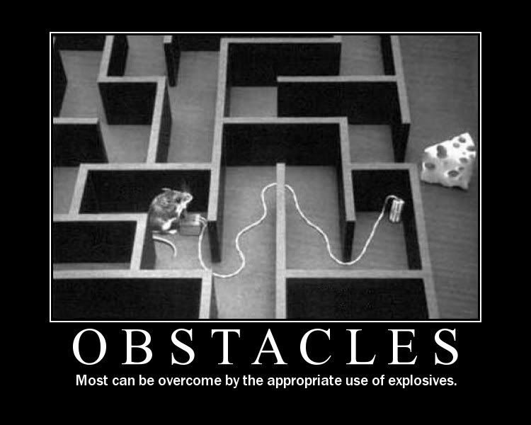 [Image: Obstacles-MouseMaze_zps0396fe7f.jpg]