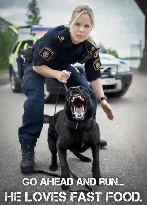 [Image: police%20dog.jpg]