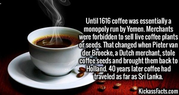 [Image: coffee%20history.jpg]