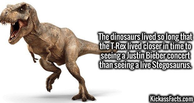 [Image: dinos.jpg]