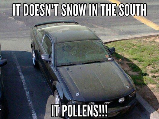 [Image: pollens.jpg]