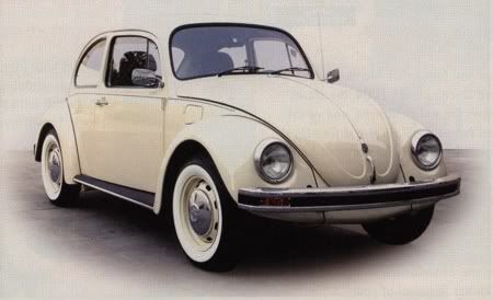 old beetle Pictures, Images and Photos