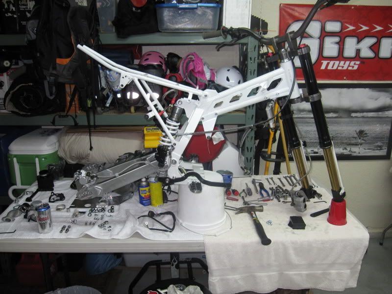 Pit Bike FRAME P*RN