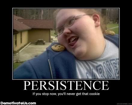 Fat People Cookie. fat-people-persistence-cookie-demot.jpg