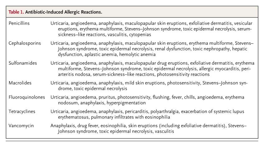 Allergy To Antibiotics