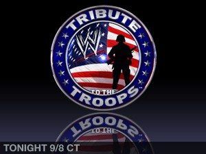 Tribute To The Troops Pictures, Images and Photos