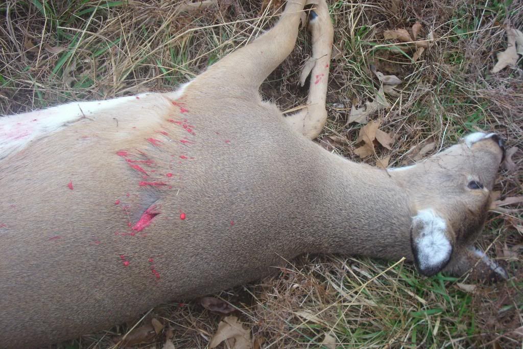 Huntingpictures021.jpg