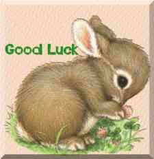 r13_bunny_good_luck.jpg