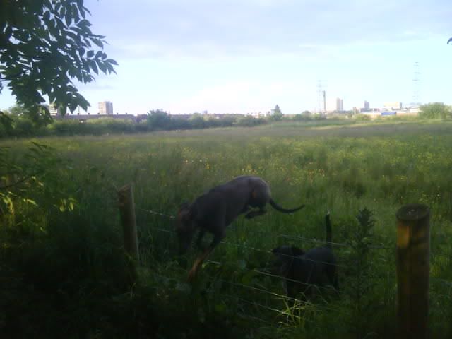 Photo01671.jpg