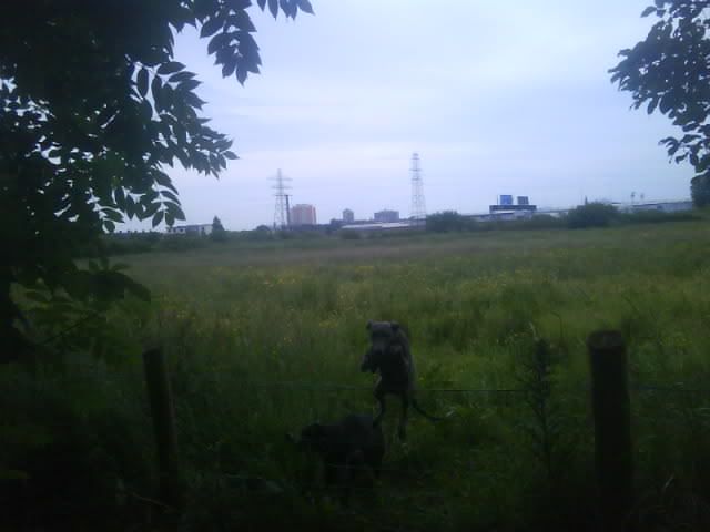Photo01711.jpg