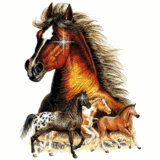 bruin-schitterpaard+paarden