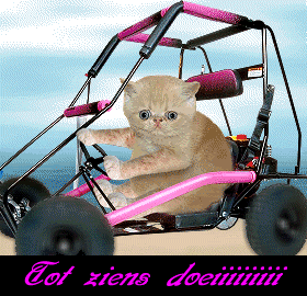  Funpagina.eu