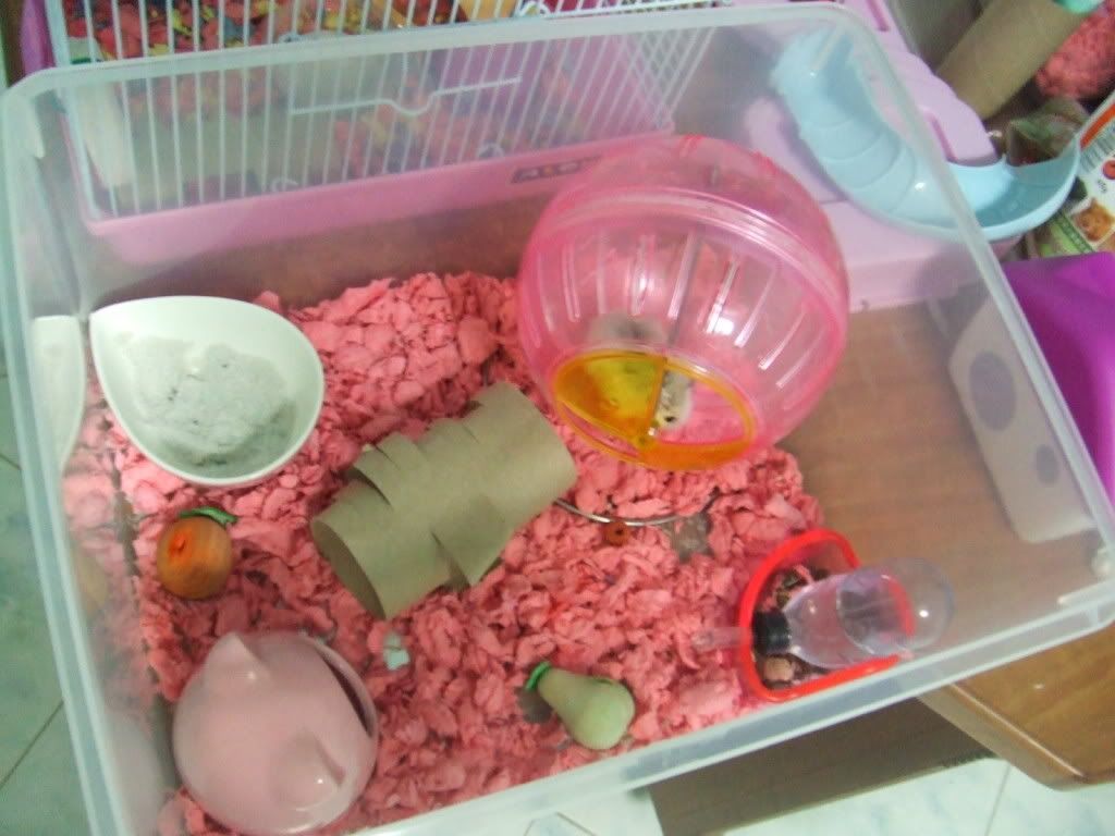 Robo Hamster Cage