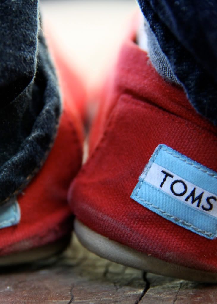 Toms.jpg Toms Shoes image by krysten800