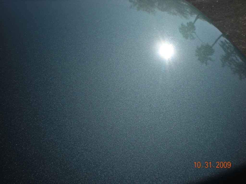 DSCN0847.jpg