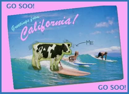 Happy Cow Auditions
