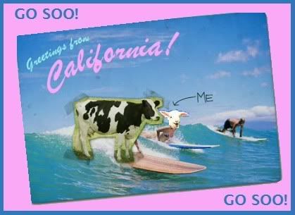 Happy Cow Auditions