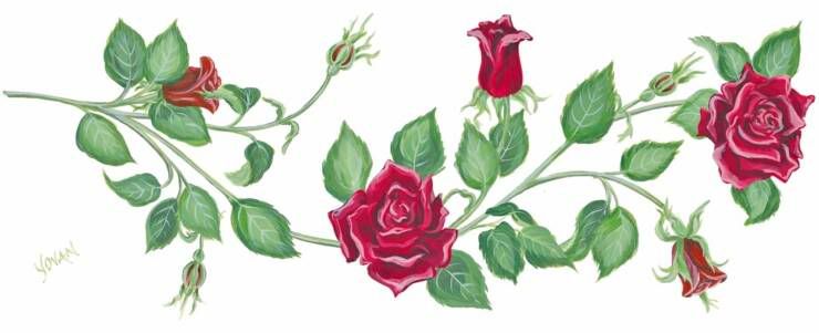 thorns and roses drawings. Can the Roses find the Thorns