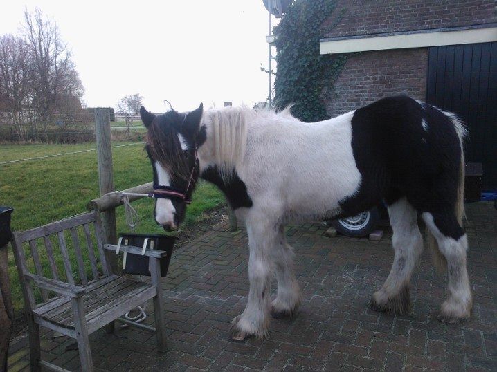 Afbeelding