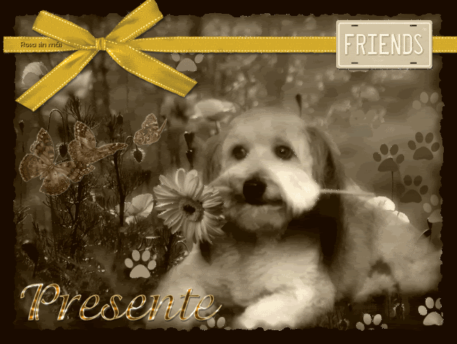 presente.gif picture by HARIEL_2008