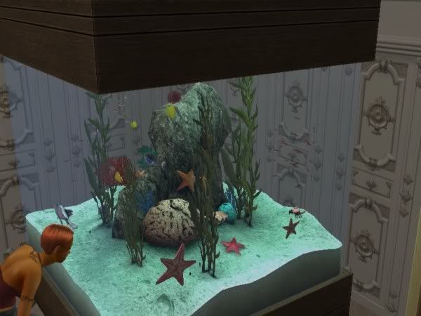 aquariumcloseup.jpg