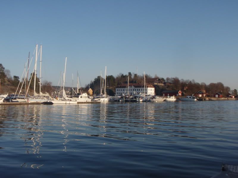 P4111338.jpg