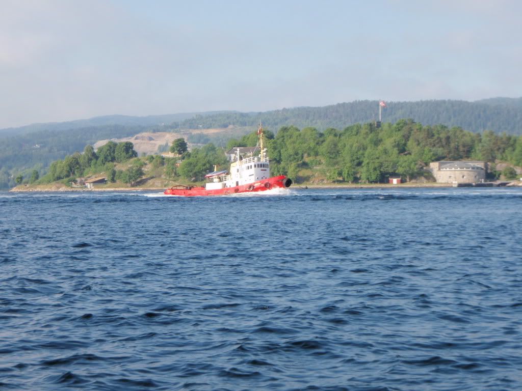 P7020171.jpg
