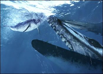 http://i293.photobucket.com/albums/mm69/lind5395/basilosaurus_hzoom.jpg